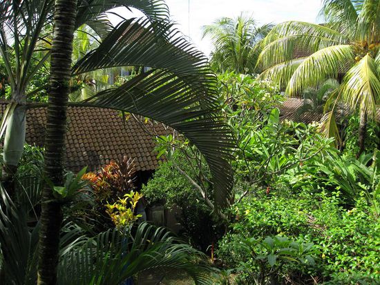 Idylle pur von unserem Balkon aus....