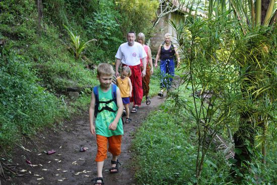 Jungle im Elefantentempel