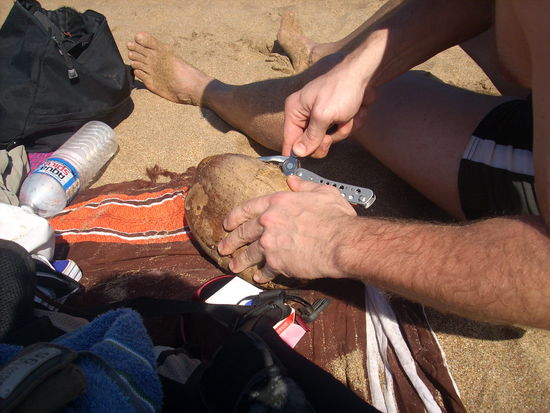 ihr glaubt ja nicht wie lange wir gebraucht haben um die kokosnuss zu oeffnen