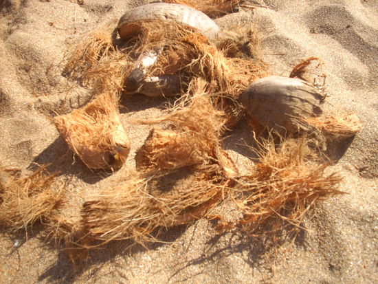 ueber eine stunde harte arbeit