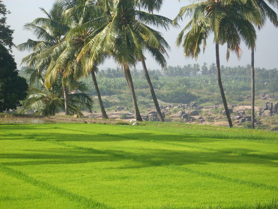 blick in Hampi bein fruehstueck