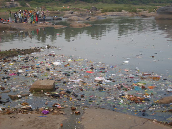...na kann man verstehen bei dem Muell und Dreck im Wasser...