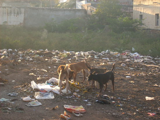 normal auf den Strassen hier