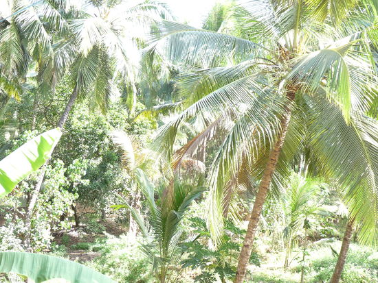 Blick von meinem Balkon