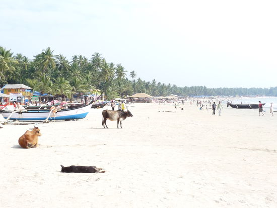 Palolem.....hier sieht es zwar nicht so voll aus, waren aber echt massen da