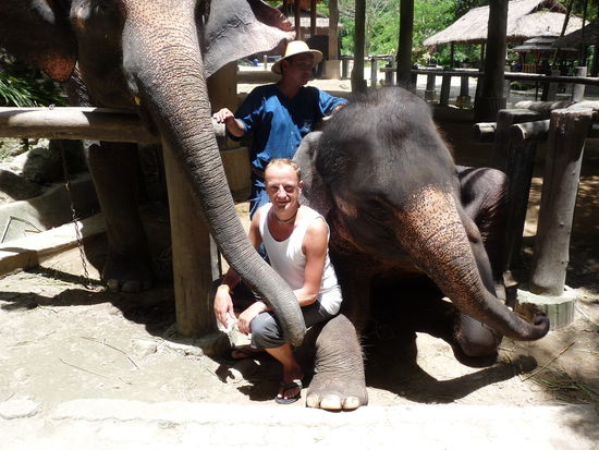 ich bei den Elephanten....