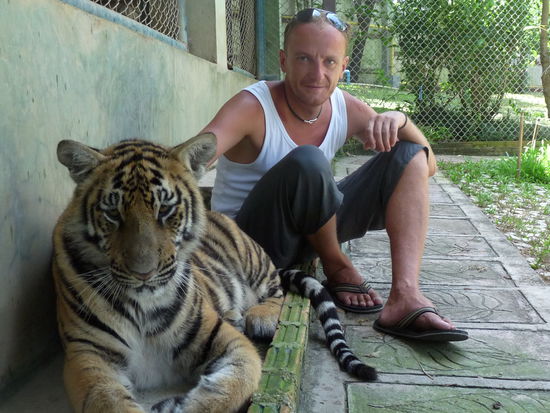 und hier mit nem Tiger.....ich hatte schon bissel Schiss, man musste am Anfang was unterschreiben, das man bei Fehlern oder hastigen Bewegungen auf eigene Gefahr reingeht, aber sie wirkten unglaublich trainiert...sie haben sich hingelegt wenn der Wärter es sagte, sind aufgestanden wenn er es wollte, war nen komisches Gefühl, obwohl das hier nur ein kleiner junger war
