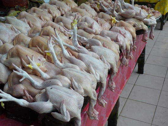 Was Essen wir heute.......Chicken?