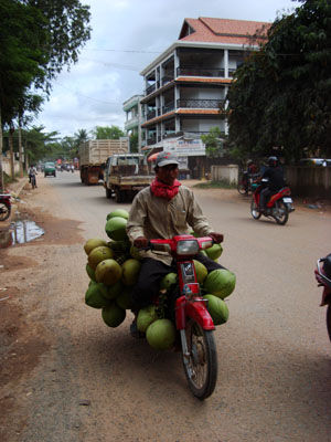 Coconut Transport made by Cambodian people