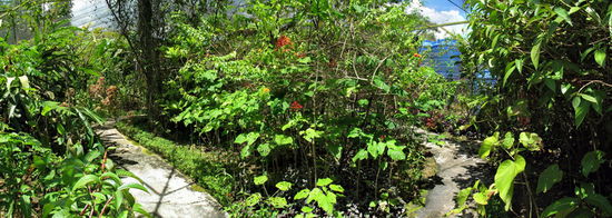 Der Rundweg im Schmetterlingsgehege