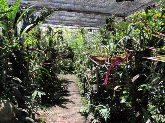 Kellerstimmung unterm Tarnnetz