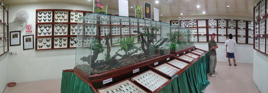 Ausstellung der Aufgespießten