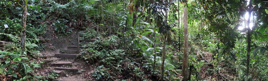 Schweißtreibender Aufstieg zum Canopywalk
