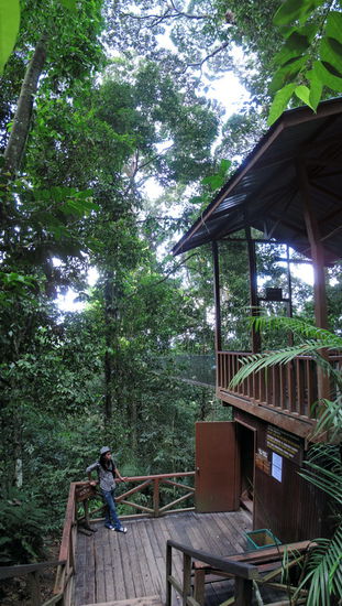 Mit den Bäumen auf Augenhöhe: der Eingang zum Canopywalk