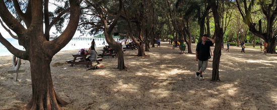 ...im etwas kühleren Schatten des Strandwäldchens. Im Hintergrund der Weg zum Landungssteg. Ich wundere mich das in diesen Breiten die Nadelbäume wachsen. Wenn man hier ohne Schuhe her läuft piekst es ganz schön unter den Füßen.