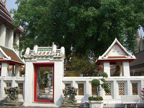 Weil unter einem Pipalbaum
Buddha seine Erleuchtung erlangte, wurde 
im Wat ein Pipalbaum gepflanzt