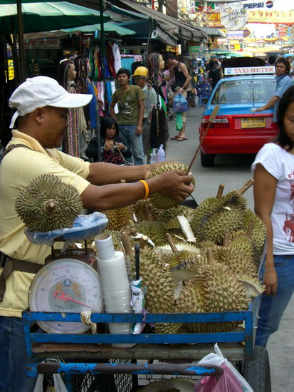Die Durians sind bei Touristen als Stinkefrüchte berüchtigt. Kleine Probe gefällig?