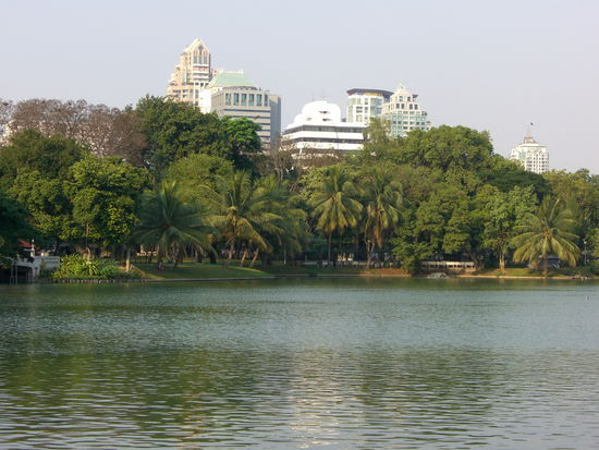 Künstlicher See mit Palmenufer