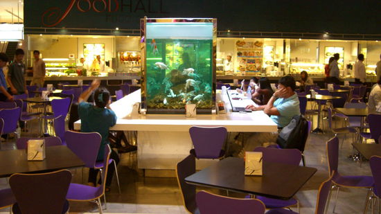 Beim Essen das Notebook mit WiFi dabei und die Fische schauen zu