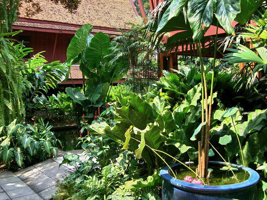 Jim Thompsons Tropengarten