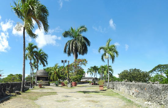 Die Nordmauer über dem Eingangstor ist so breit, dass mittlerweile Palmen auf ihr wachsen.