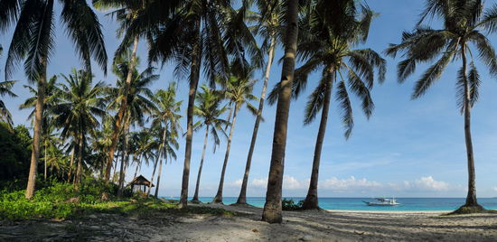Puka Beach etwas abseits der Anlegestelle. Im Schatten der Kokospalmen mache ich es mir bequem und beobachte wie ein paar Boote vorbeiziehen. Sie werden zurückkommen und Tagestouristen von den Nachbarinseln an den Strand schippern.