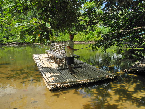 Für eine kleine Spende bringt mich der Fährmann mit seinem Bambusfloß über das Mangrovenflüsschen.