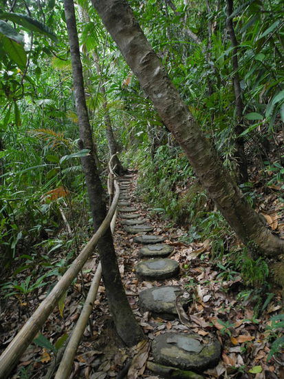 Weg zur Bergstation der Zipline.