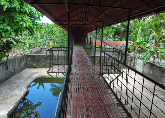 Ein Steg aus einer dünnen Gitterkonstruktion führt über die Gehege der älteren Tiere.