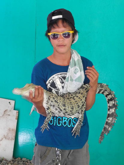 Touristen lassen sich gerne mit den Reptilenbabies fotografieren.