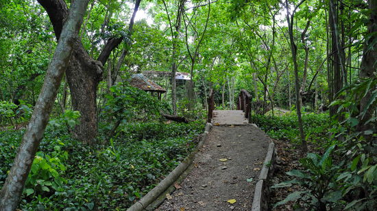 Hinter den Tiergehegen schließt sich ein kleiner tropischer Park an.