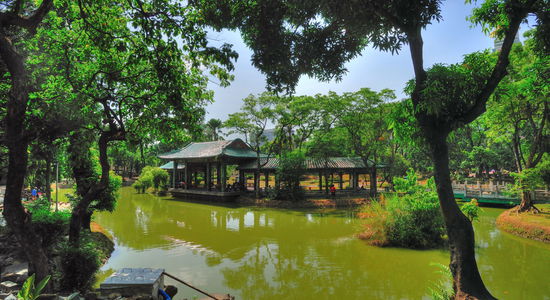 Ein Park mit kleinen Schönheitsfehlern: undurchsichtige und wahrscheinlich schon längst umgekippte Wasserflächen und nicht versteckte Stromkästen und Pumpenanlagen stören etwas die chinesische Ästhetik.