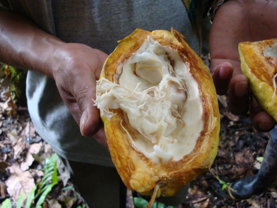 Cacao...NICHT Schoggi, gäll Victoria.