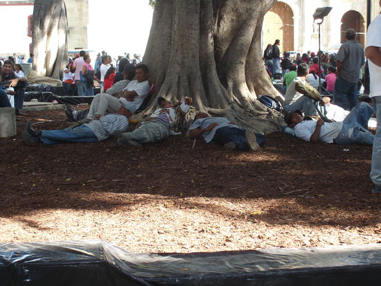 Freiluft-Siesta auf dem Zocalo