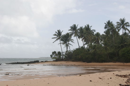 Ein Traum von einer Insel...