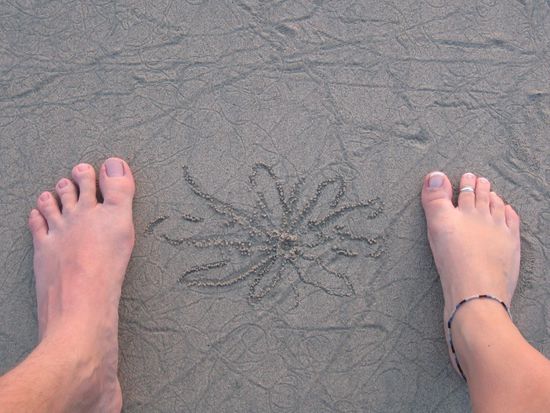 Der Sand auf der Insel war ein Abenteuer fuer sich, Tausende Krabben, Wuermer, Seesterne und und und... Die Krabben bauen Abends in den Sand richtige kleine Kunstwerke.