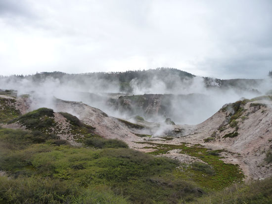 Gegend um Rotorua