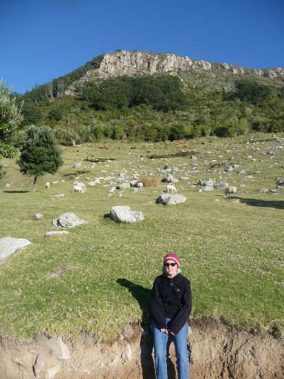 Auf dem Weg zum Mt. Maunganui