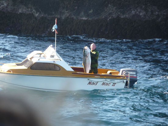 Hey Nuuutzi, des ist mal ein Fisch, und nicht so ein "schwuler Aal", der bei dir immer an der Angel hängt! 