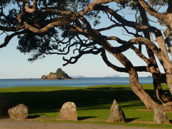 Auf der Fahrt die Ostküste hinunter Richtung Auckland