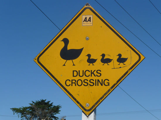 Auf einem Highway gesehen!