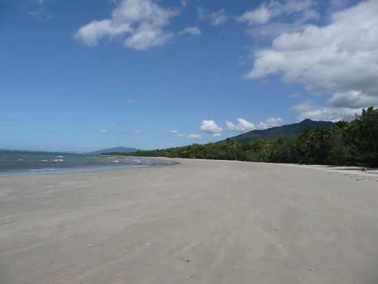 Cape Tribulation