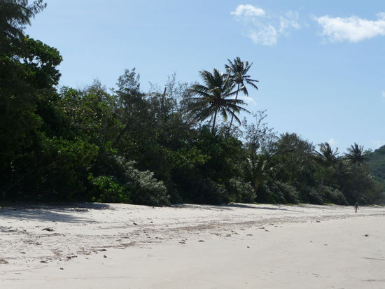 Cape Tribulation