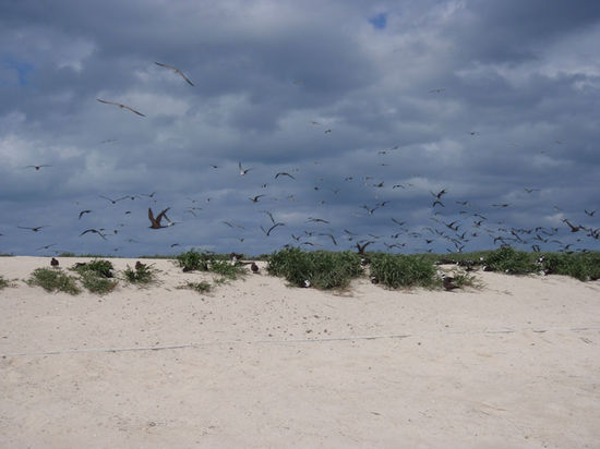 Sandbank am Great Barriere Reef