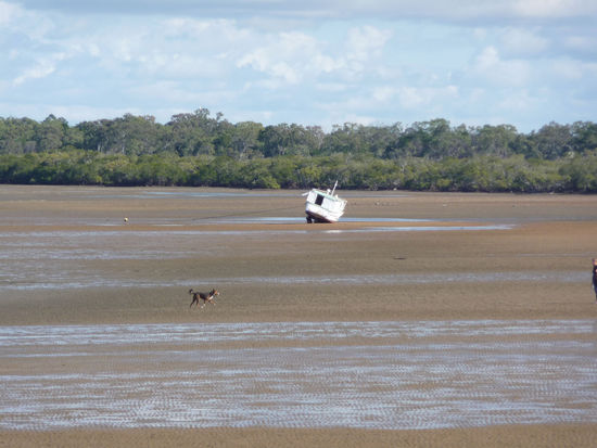 Wann kommt die Flut...?