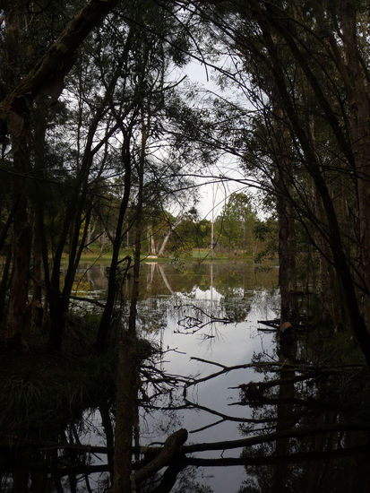 ... und der dazugehörige Wald und See