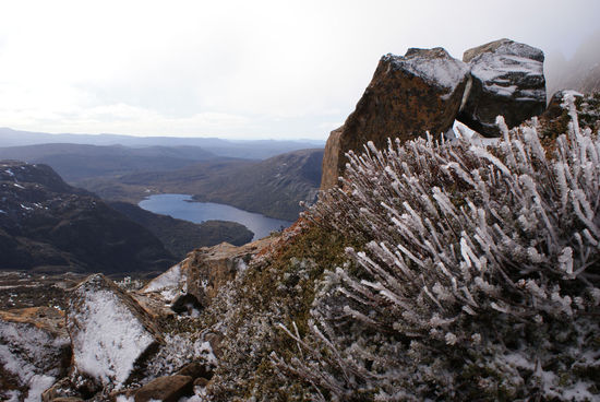 Eisig kalt am Cradle Mountain
