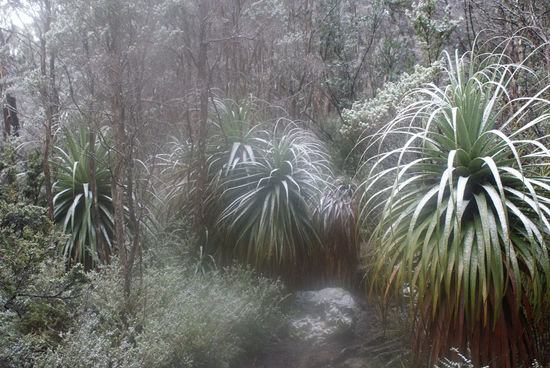 ... es kam Schnee hinzu...