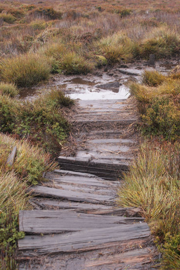 Die Wege wurden schlechter...