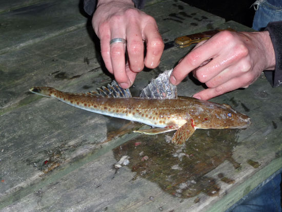 ... und wir haben es (gerade noch) erwartet